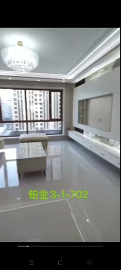 望奎铂金三室一厅两卫
