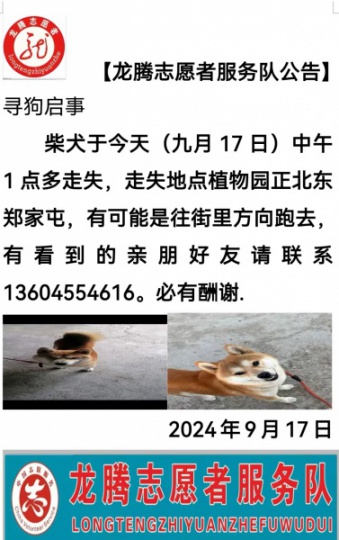 寻狗启示