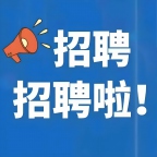 招聘实习➕就业