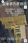 望奎恭六一处养鸡场出售