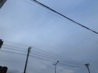找个恋爱助攻军师